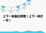 上下一体鱼缸原理（上下一体打一字）