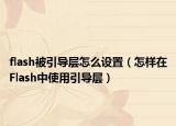 flash被引导层怎么设置（怎样在Flash中使用引导层）