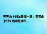 天天向上刘洋是哪一期（天天向上刘冬出现是哪集）