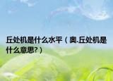 丘处机是什么水平（奥.丘处机是什么意思?）