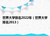 世界大学排名2022年（世界大学排名2013）