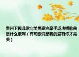 贵州卫视非常完美男嘉宾牵手成功插歌曲是什么歌啊（有句歌词是我的爱有你才完美）