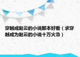穿越成赵云的小说那本好看（求穿越成为赵云的小说十万火急）
