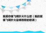 我爱你像飞蛾扑火什么歌（我的爱像飞蛾扑火是哪首歌的歌词）