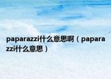 paparazzi什么意思啊（paparazzi什么意思）