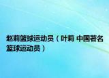 赵莉篮球运动员（叶莉 中国著名篮球运动员）