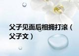 父子见面后相拥打滚（父子文）