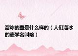 溜冰的壶是什么样的（人们溜冰的壶学名叫啥）