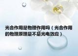 光合作用是物理作用吗（光合作用的物理原理是不是光电效应）