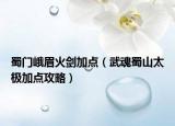 蜀门峨眉火剑加点（武魂蜀山太极加点攻略）