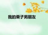 我的栗子男朋友