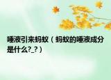 唾液引来蚂蚁（蚂蚁的唾液成分是什么?_?）
