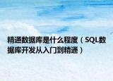 精通数据库是什么程度（SQL数据库开发从入门到精通）