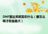 DNF里达芙妮喜欢什么（要怎么喂才收益最大）