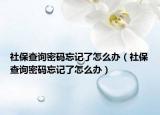 社保查询密码忘记了怎么办（社保查询密码忘记了怎么办）