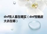 dnf雪人套在哪买（dnf雪魈皮大衣在哪）