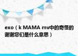exo（k MAMA mv中的奇怪的谢谢您们是什么意思）