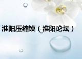 淮阳压缩馍（淮阳论坛）