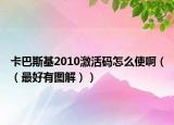 卡巴斯基2010激活码怎么使啊（（最好有图解））
