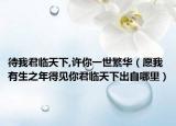 待我君临天下,许你一世繁华（愿我有生之年得见你君临天下出自哪里）