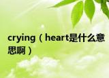 crying（heart是什么意思啊）