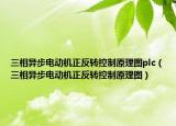 三相异步电动机正反转控制原理图plc（三相异步电动机正反转控制原理图）