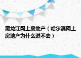 黑龙江网上房地产（哈尔滨网上房地产为什么进不去）