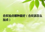 合欢加点哪种最好（合欢派怎么加点）