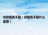 对你我伤不起（你我伤不起什么意思）