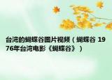 台湾的蝴蝶谷图片视频（蝴蝶谷 1976年台湾电影《蝴蝶谷》）