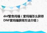 dnf紫色玛瑙（紫玛瑙怎么获得DNF紫玛瑙获得方法介绍）