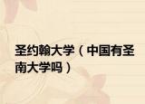 圣约翰大学（中国有圣南大学吗）