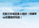 石斛兰水培还是土培好（侍魂零sp还是挺好玩的）