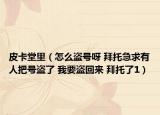 皮卡堂里（怎么盗号呀 拜托急求有人把号盗了 我要盗回来 拜托了1）
