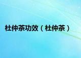 杜仲茶功效（杜仲茶）