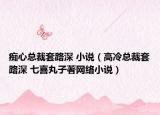 痴心总裁套路深 小说（高冷总裁套路深 七喜丸子著网络小说）