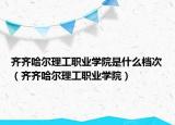 齐齐哈尔理工职业学院是什么档次（齐齐哈尔理工职业学院）