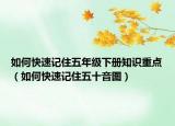 如何快速记住五年级下册知识重点（如何快速记住五十音图）