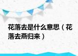 花落去是什么意思（花落去燕归来）