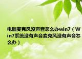 电脑麦克风没声音怎么办win7（Win7系统没有声音麦克风没有声音怎么办）