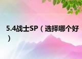 5.4战士SP（选择哪个好）