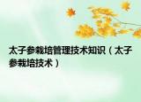 太子参栽培管理技术知识（太子参栽培技术）