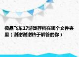 极品飞车17游戏存档在哪个文件夹里（谢谢谢谢热于解答的你）