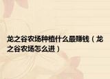 龙之谷农场种植什么最赚钱（龙之谷农场怎么进）