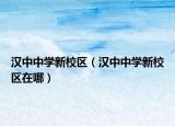 汉中中学新校区（汉中中学新校区在哪）
