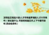 深圳最正规最大的人才市场是罗湖的人才大市场吗（地址是什么 开放时间是白天上下午都开放吗 进去收费吗）