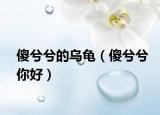 傻兮兮的乌龟（傻兮兮你好）