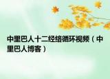 中里巴人十二经络循环视频（中里巴人博客）
