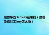 魔兽争霸3cdkey在哪找（魔兽争霸3CDkey怎么填）