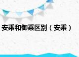 安乘和御乘区别（安乘）